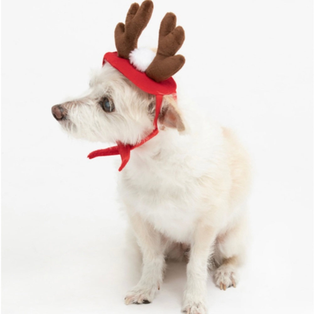 Pet Hat Holiday Reindeer Red Brown Cat Dog NWT